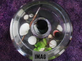 imag-cover(10)