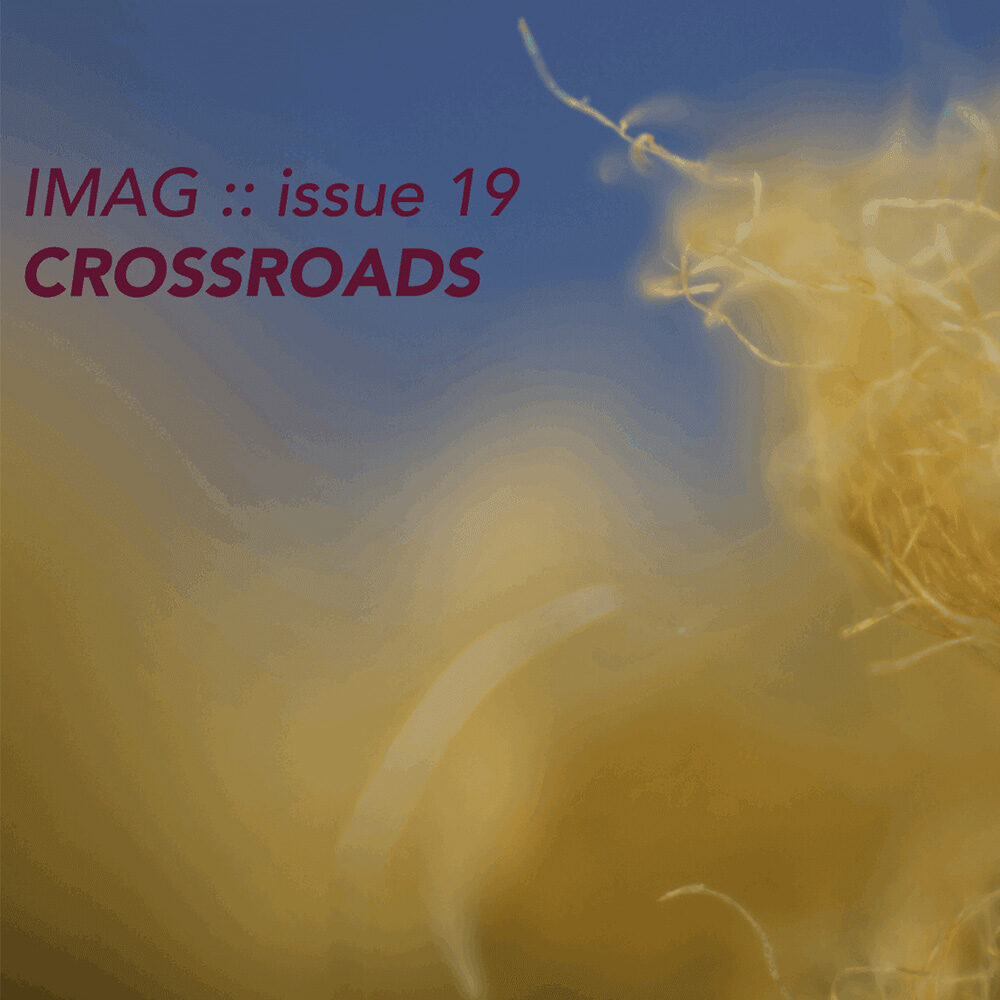 imag-19-header